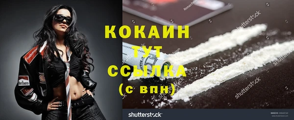 сатива Новодвинск
