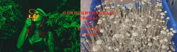круглые Новозыбков