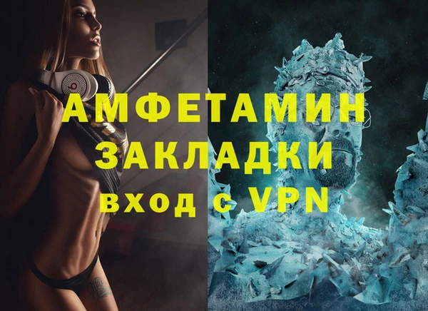 гашик Дмитровск