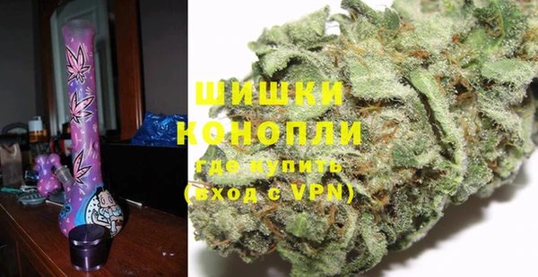 сатива Новодвинск