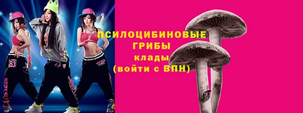 ГАЛЛЮЦИНОГЕННЫЕ ГРИБЫ Новокубанск
