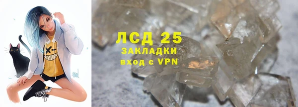 сатива Новодвинск