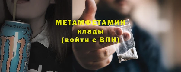 сатива Новодвинск