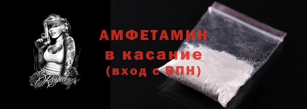 сатива Новодвинск