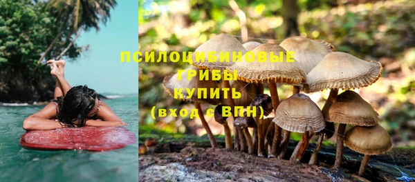 круглые Новозыбков