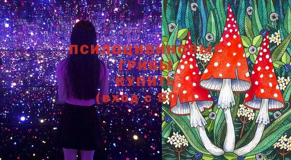 сатива Новодвинск