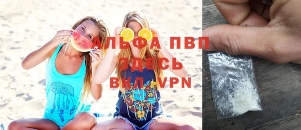 сатива Новодвинск