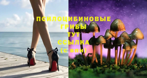 круглые Новозыбков