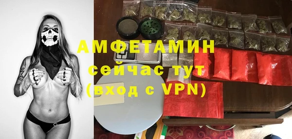 сатива Новодвинск